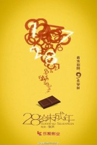 Suddenly Seventeen (28 Sui Wei Chengnian) (2015)