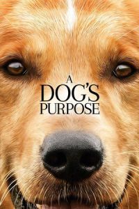 A Dog's Purpose (2017)