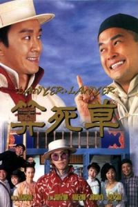 Lawyer Lawyer (Suen sei cho) (1997)