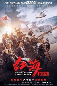 Operation Red Sea (Hong hai xing dong) (2018)